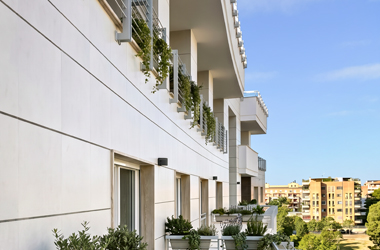 Portfolio Image